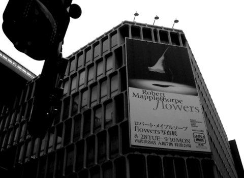 『ロバート・メイプルソープ flowers 写真展』